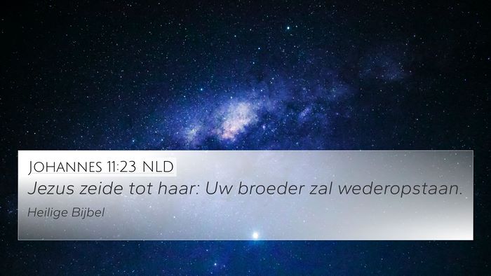 Johannes 11:23 NLD Bible Verse Image