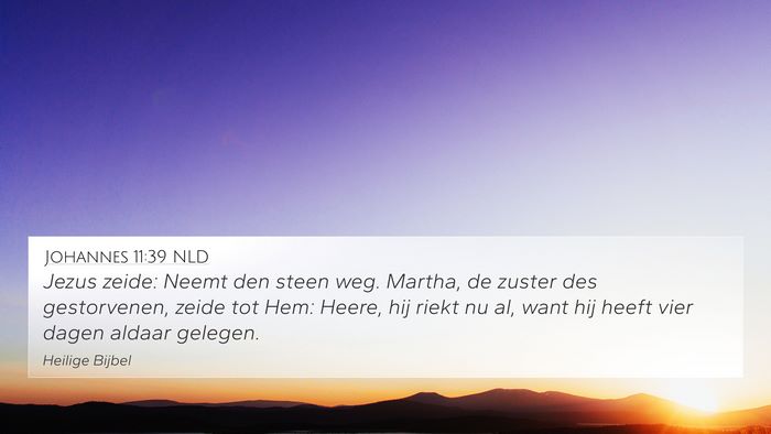 Johannes 11:39 NLD Bible Verse Image