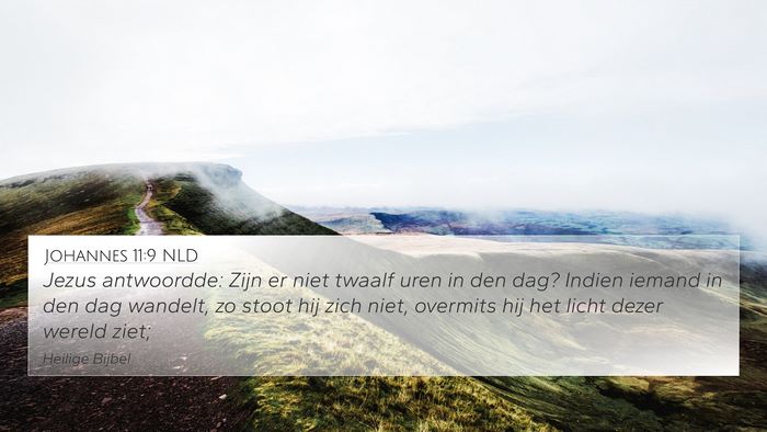 Johannes 11:9 NLD Bible Verse Image