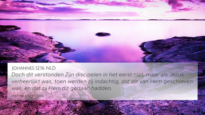 Johannes 12:16 NLD Bible Verse Image