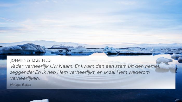 Johannes 12:28 NLD Bible Verse Image