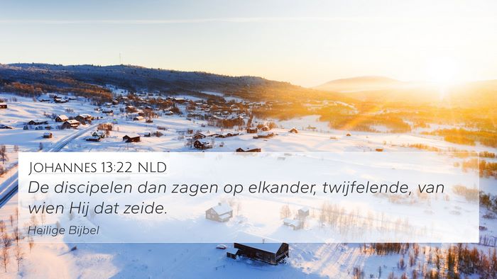 Johannes 13:22 NLD Bible Verse Image