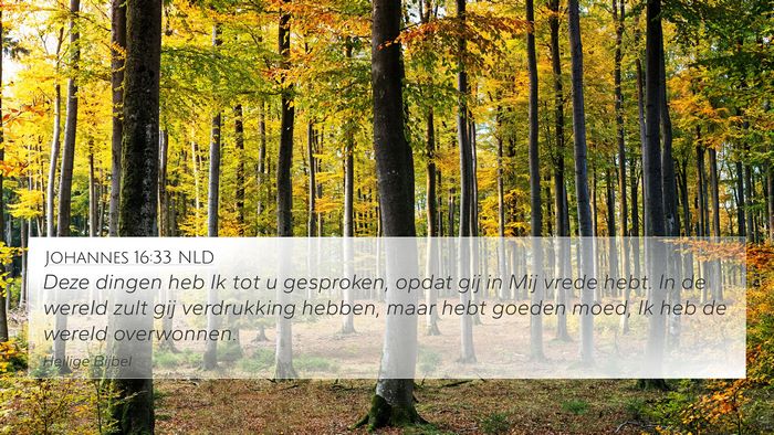 Johannes 16:33 NLD Bible Verse Image