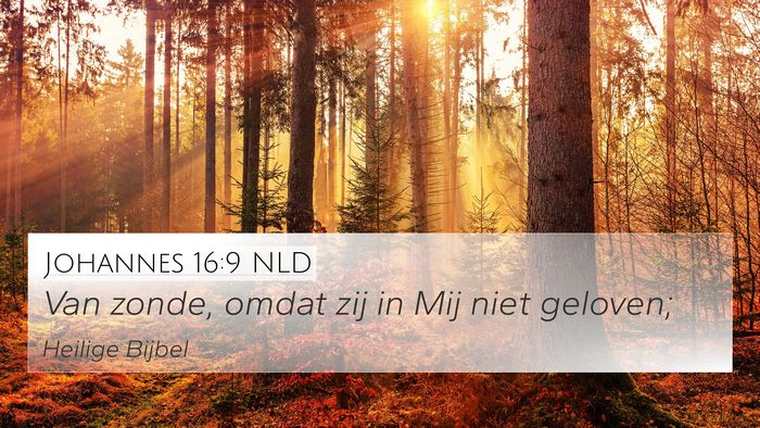 Johannes 16:9 NLD 4K Wallpaper - Van zonde, omdat zij in Mij niet - 4K Wallpaper Bible Verse