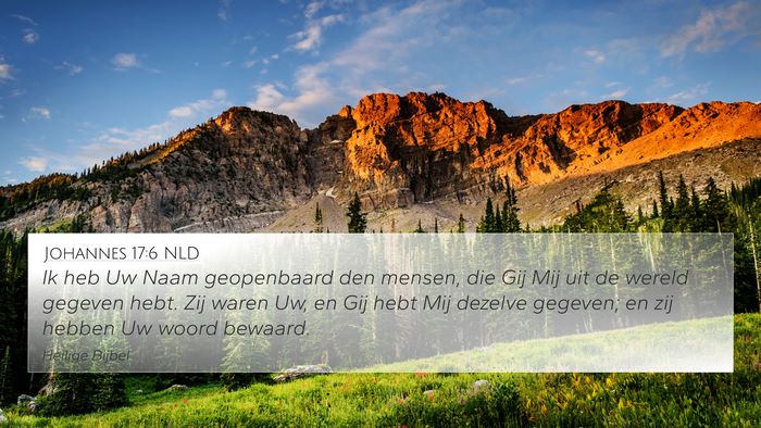 Johannes 17:6 NLD Bible Verse Image