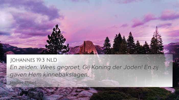 Johannes 19:3 NLD Bible Verse Image