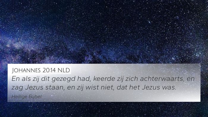 Johannes 20:14 NLD Bible Verse Image