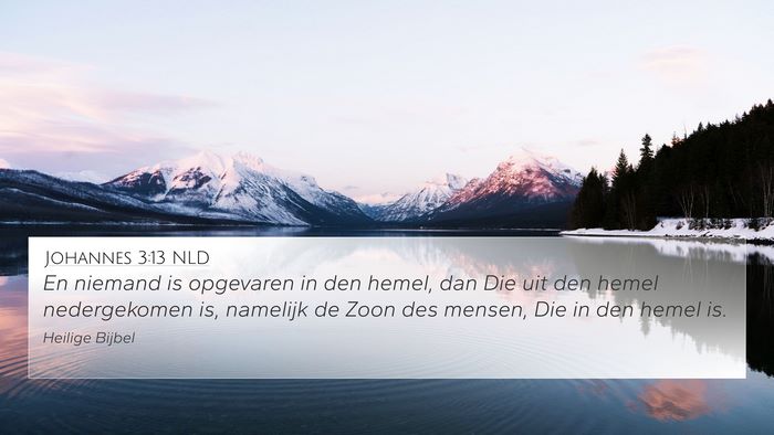 Johannes 3:13 NLD Bible Verse Image