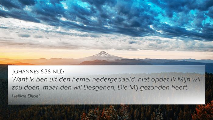 Johannes 6:38 NLD Bible Verse Image