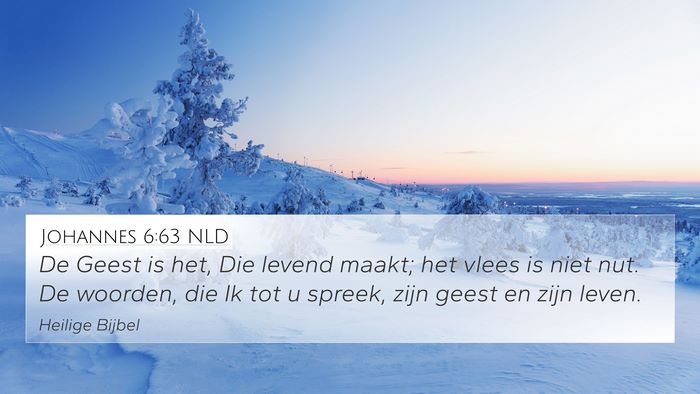 Johannes 6:63 NLD Bible Verse Image