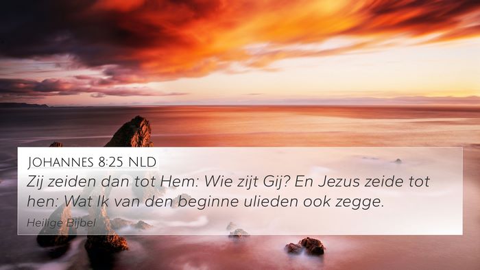 Johannes 8:25 NLD Bible Verse Image