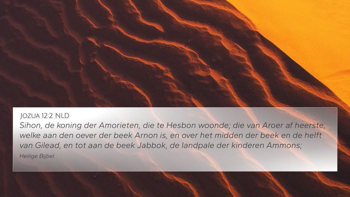 Jozua 12:2 NLD Bible Verse Image