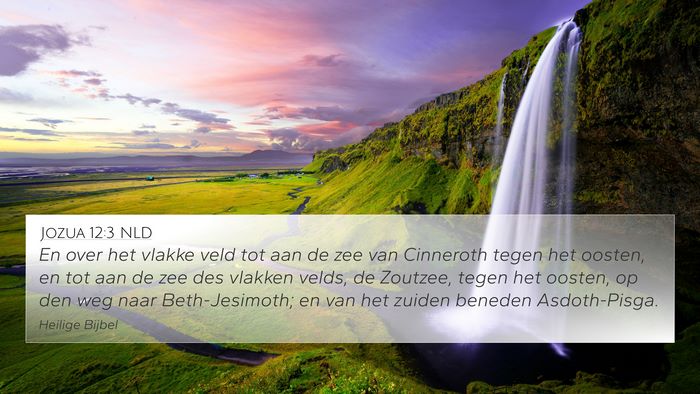 Jozua 12:3 NLD Bible Verse Image
