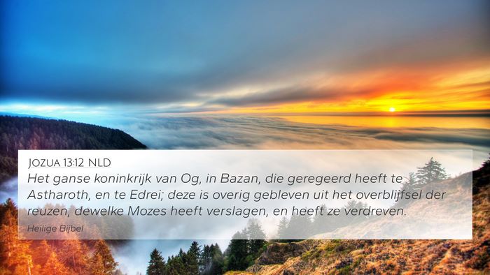 Jozua 13:12 NLD Bible Verse Image