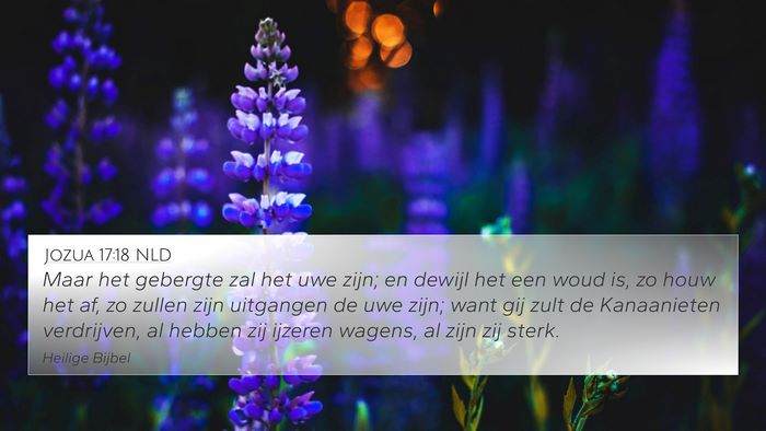 Jozua 17:18 NLD Bible Verse Image