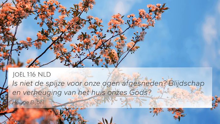 Joël 1:16 NLD Bible Verse Image