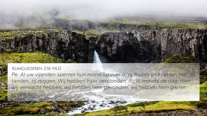 Klaagliederen 2:16 NLD Bible Verse Image