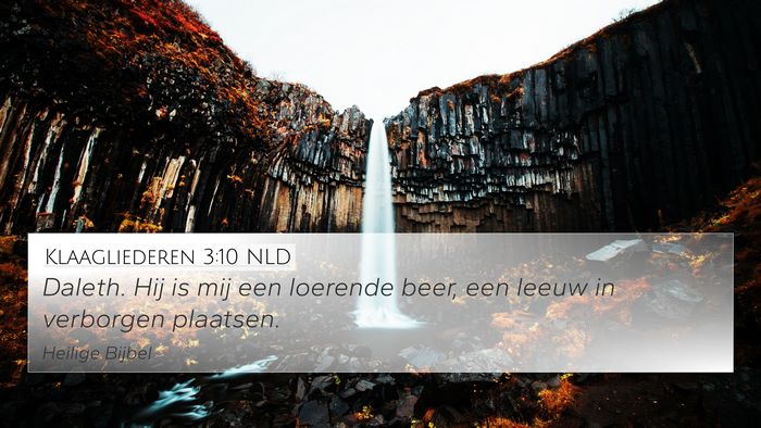 Klaagliederen 3:10 NLD Bible Verse Image