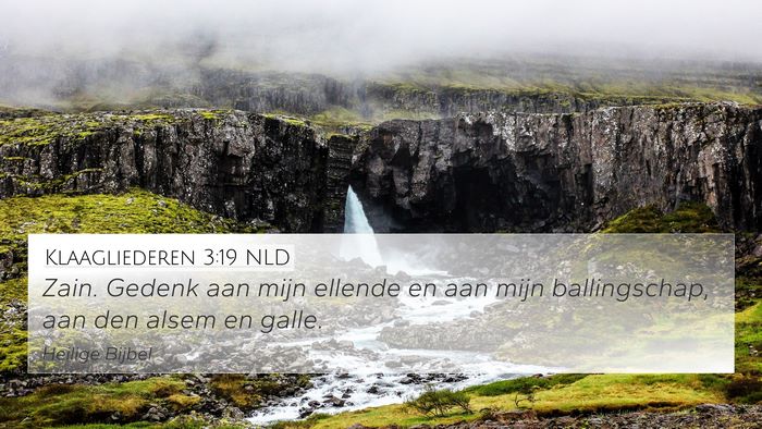 Klaagliederen 3:19 NLD Bible Verse Image