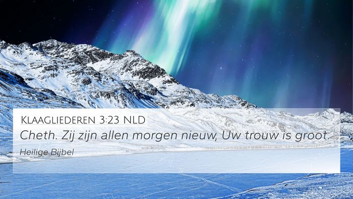 Klaagliederen 3:23 NLD Bible Verse Image