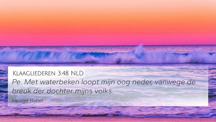 Klaagliederen 3:48 NLD Bible Verse Image