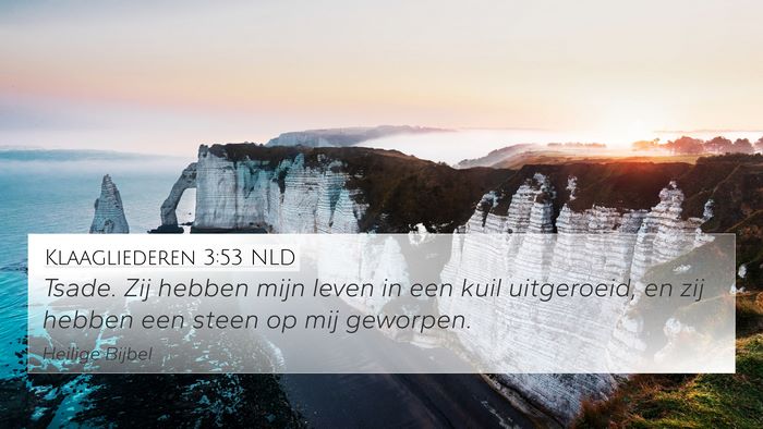 Klaagliederen 3:53 NLD Bible Verse Image