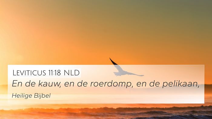 Leviticus 11:18 NLD 4K Wallpaper - En de kauw, en de roerdomp, en de - 4K Wallpaper Bible Verse
