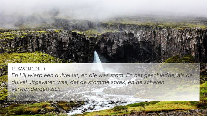 Lukas 11:14 NLD Bible Verse Image