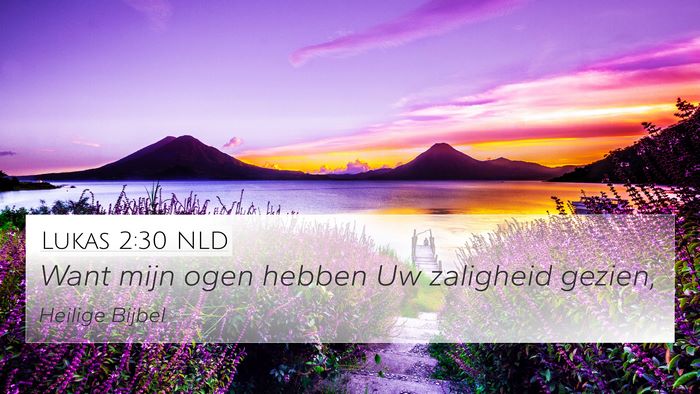Lukas 2:30 NLD Bible Verse Image