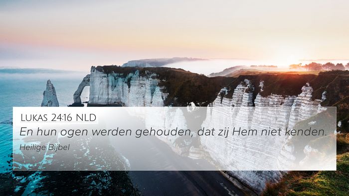 Lukas 24:16 NLD Bible Verse Image