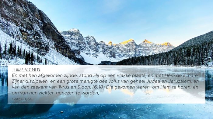 Lukas 6:17 NLD Bible Verse Image