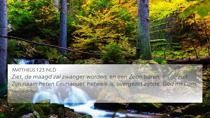 Mattheüs 1:23 NLD Bible Verse Image