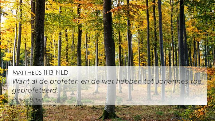 Mattheüs 11:13 NLD Bible Verse Image