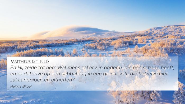 Mattheüs 12:11 NLD Bible Verse Image