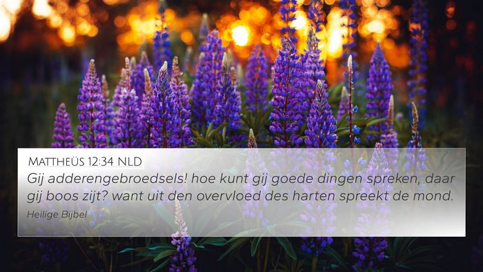 Mattheüs 12:34 NLD Bible Verse Image