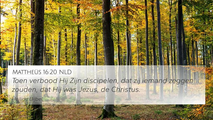 Mattheüs 16:20 NLD Bible Verse Image