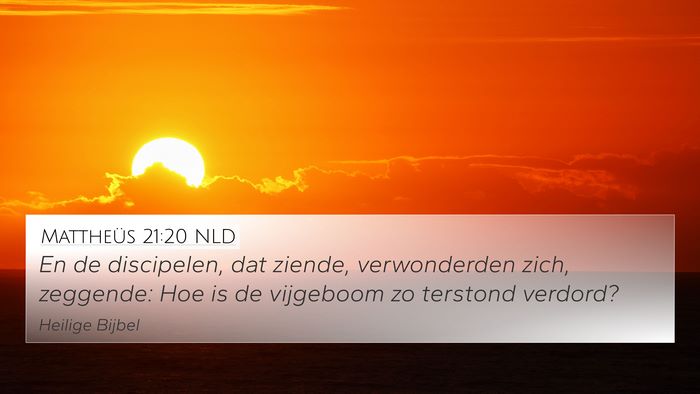 Mattheüs 21:20 NLD Bible Verse Image