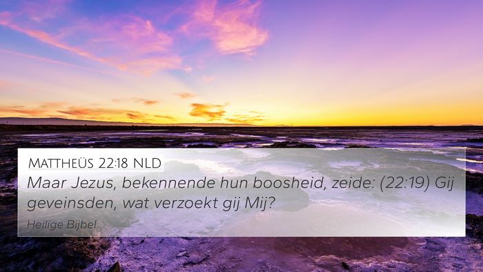 Mattheüs 22:18 NLD Bible Verse Image