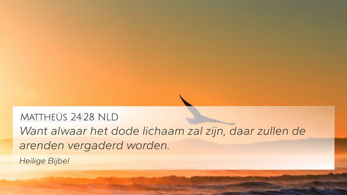 Mattheüs 24:28 NLD Bible Verse Image