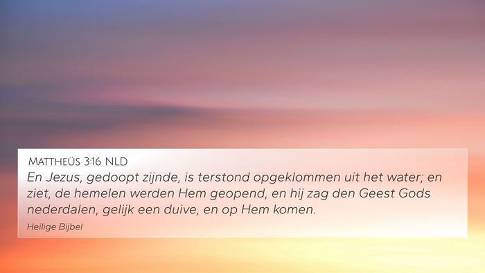 Mattheüs 3:16 NLD Bible Verse Image