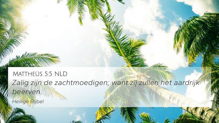 Mattheüs 5:5 NLD 4K Wallpaper - Zalig zijn de zachtmoedigen; want zij zullen het - 4K Wallpaper Bible Verse