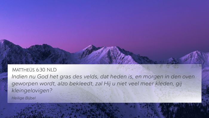 Mattheüs 6:30 NLD Bible Verse Image