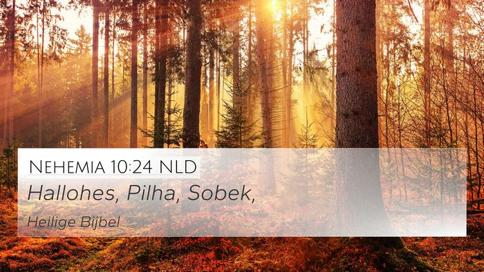 Nehemia 10:24 NLD 4K Wallpaper - Hallohes, Pilha, - 4K Wallpaper Bible Verse