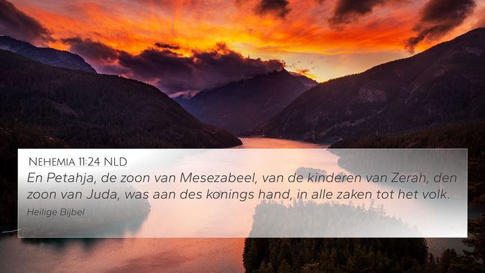 Nehemia 11:24 NLD 4K Wallpaper - En Petahja, de zoon van Mesezabeel, van de - 4K Wallpaper Bible Verse