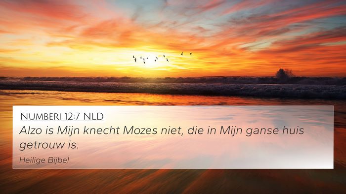 Numberi 12:7 NLD Bible Verse Image