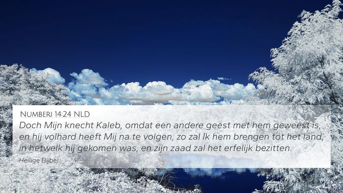 Numberi 14:24 NLD Bible Verse Image