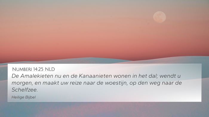 Numberi 14:25 NLD Bible Verse Image