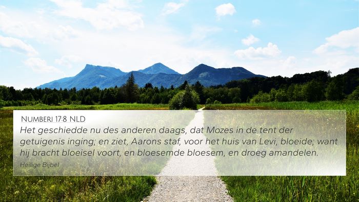 Numberi 17:8 NLD Bible Verse Image