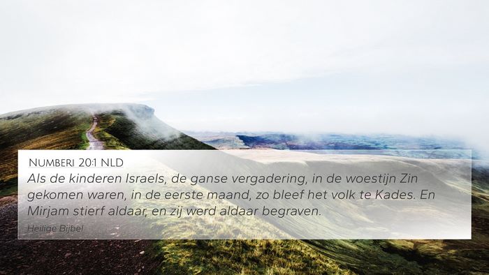 Numberi 20:1 NLD Bible Verse Image