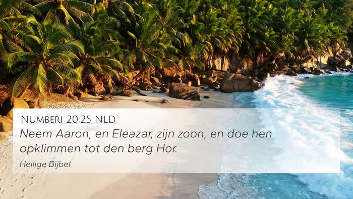 Numberi 20:25 NLD Bible Verse Image
